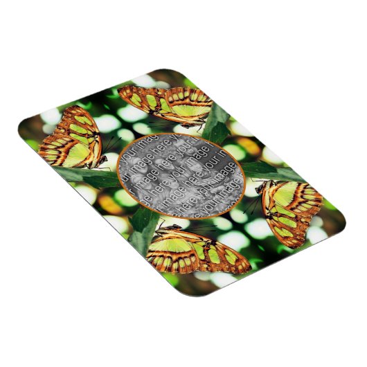 Magnet Flexible Papillon vert Poser Cadre Créer Votre Propre Photo (Côté Droit)