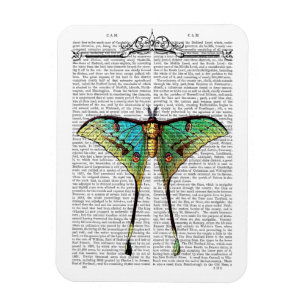 Magnet Flexible Papillon vibrant