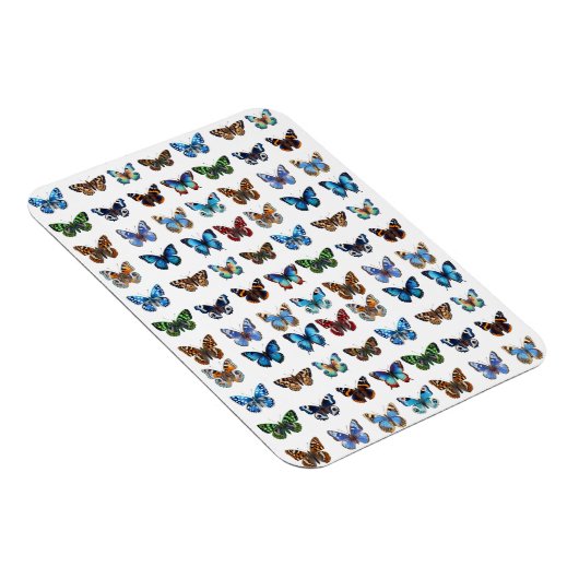 Magnet Flexible Papillons (Côté Droit)