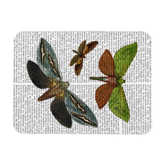 Magnet Flexible Papillons 4 (Horizontal)