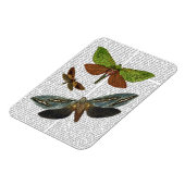 Magnet Flexible Papillons 4 (Côté Gauche)