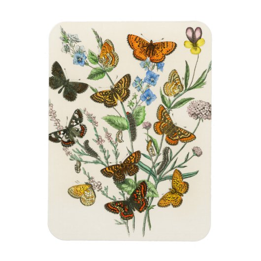 Magnet Flexible Papillons et fleurs Illustration Vintage 1 (Vertical)