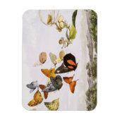 Magnet Flexible Papillons vintages & Fée Vieux art d'illustration (Vertical)