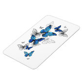 Magnet Flexible Papillons volants bleus Morpho (Côté Gauche)