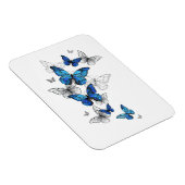 Magnet Flexible Papillons volants bleus Morpho (Côté Droit)