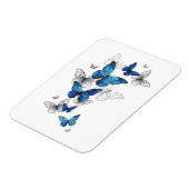 Magnet Flexible Papillons volants bleus Morpho (Côté Gauche)