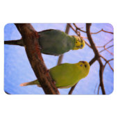 Magnet Flexible Parakeet Couple (Horizontal)