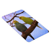 Magnet Flexible Parakeet Couple (Côté Droit)