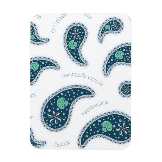 Magnet Flexible Paramecia Paisley Protozoan Biology Science (Vertical)