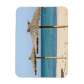 Magnet Flexible Parasols de plage de Thatch (Vertical)