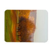Magnet Flexible Parc de Rheinaue Aimant Premium (Horizontal)