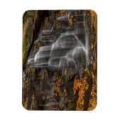 Magnet Flexible Parc d'État de Blackwater Falls (Vertical)