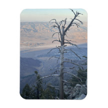 Parc d'État de Mount San Jacinto