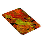 Magnet Flexible Parc d'État d'Itasca, couleurs d'automne (Côté Droit)