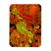Magnet Flexible Parc d'État d'Itasca, couleurs d'automne (Vertical)