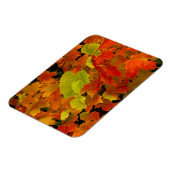 Magnet Flexible Parc d'État d'Itasca, couleurs d'automne (Côté Gauche)