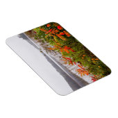 Magnet Flexible Parc d'état d'Itasca | Minnesota (Côté Droit)