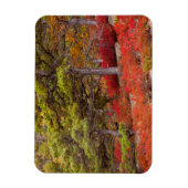 Magnet Flexible Parc national d'Acadia, Maine (Vertical)