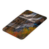 Magnet Flexible Parc national de Blackwater Falls | Virginie occid (Côté Gauche)