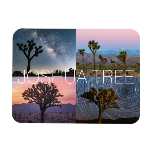 Magnet Flexible Parc national de Joshua Tree Sunset Night Paysage (Horizontal)