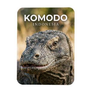 Magnet Flexible Parc national de Komodo Indonésie