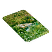 Magnet Flexible Parc national de Krka (Côté Droit)