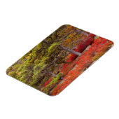 Magnet Flexible Parc national de l'Acadie, Maine (Côté Gauche)