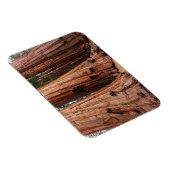Magnet Flexible Parc national de Sequoia (Côté Droit)