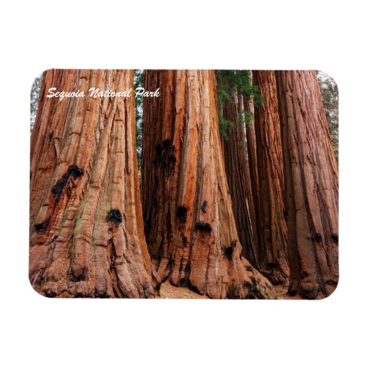 Magnet Flexible Parc national de Sequoia (Horizontal)