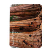 Magnet Flexible Parc national de Sequoia (Vertical)