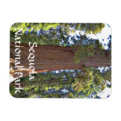 Magnet Flexible Parc national de Sequoia (Horizontal)