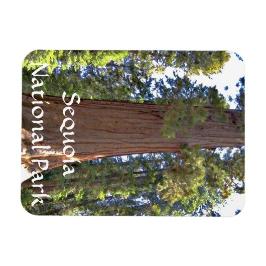 Magnet Flexible Parc national de Sequoia (Horizontal)
