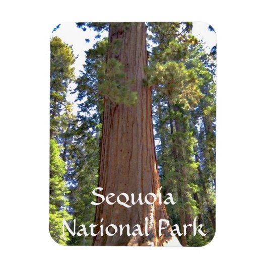 Magnet Flexible Parc national de Sequoia (Vertical)