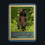 Magnet Flexible Parc national de Shenandoah Ours Vintage<br><div class="desc">Style de voyage vintage Shenandoah National Park image avec un ours noir debout sur ses pattes arrières,  regardant dans la forêt verte.</div>