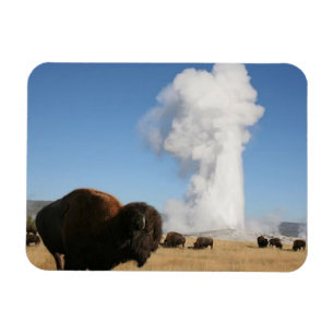 Magnet Flexible Parc national de Yellowstone