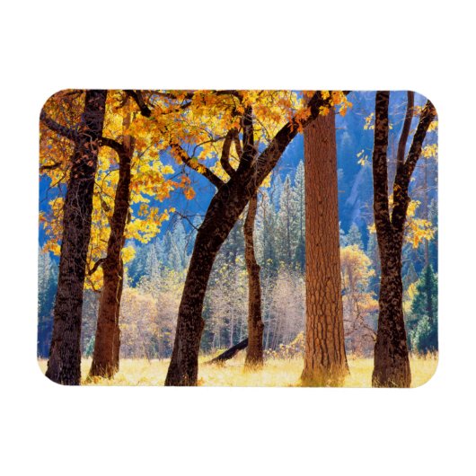 Magnet Flexible Parc national de Yosemite (Horizontal)