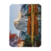 Magnet Flexible Parc national de Yosemite (Vertical)