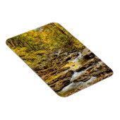 Magnet Flexible Parc national des Great Smoky Mountains. Big Creek (Côté Droit)