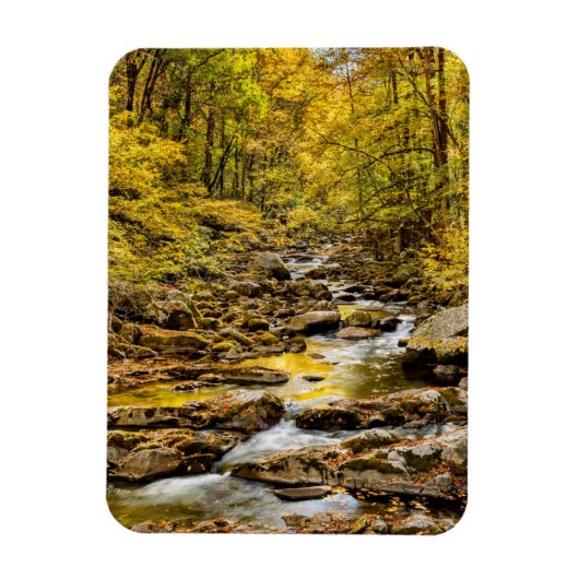Magnet Flexible Parc national des Great Smoky Mountains. Big Creek (Vertical)