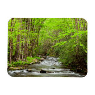 Magnet Flexible Parc national des Great Smoky Mountains Caroline d
