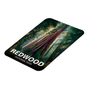 Magnet Flexible Parc national d'État de Redwood, Californie côtièr