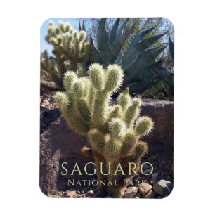 Magnet Flexible Parc national du Saguaro Plantes du désert Arizona