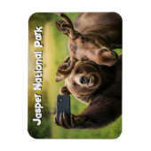 Magnet Flexible Parc national Jasper Ours Moose Selfie Canada (Vertical)