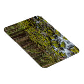 Magnet Flexible Parc national olympique, État de Washington (Côté Droit)