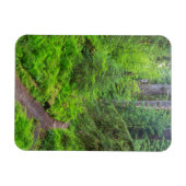 Magnet Flexible Parc national olympique, sentier forestier (Horizontal)