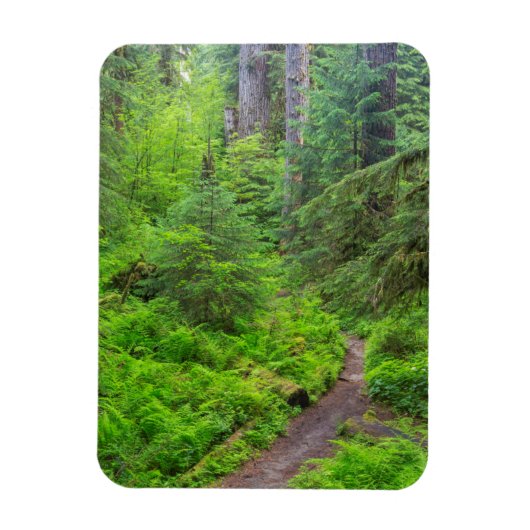 Magnet Flexible Parc national olympique, sentier forestier (Vertical)