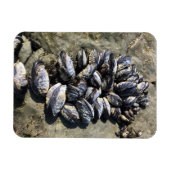 Magnet Flexible Parc Rock State de Sisters (Horizontal)