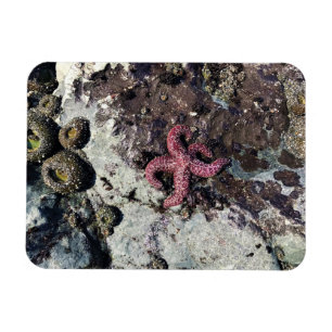 Magnet Flexible Parc Rock State de Sisters