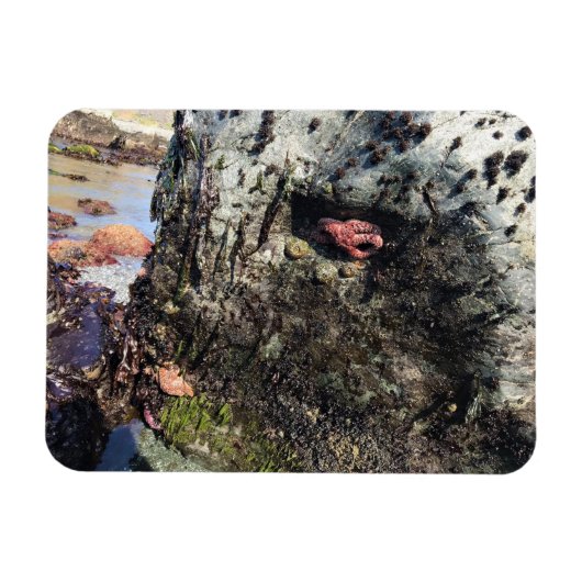 Magnet Flexible Parc Rock State de Sisters (Horizontal)