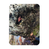 Magnet Flexible Parc Rock State de Sisters (Vertical)